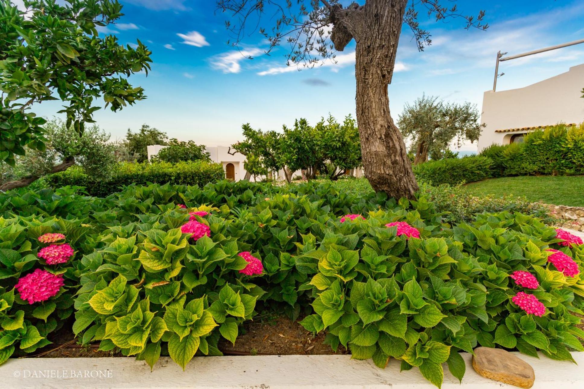 Hotel Baia Delphis Vasto